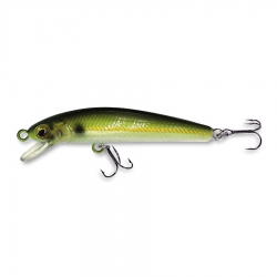 Wobler Robinson Rickie F50, 50mm, 2,5g